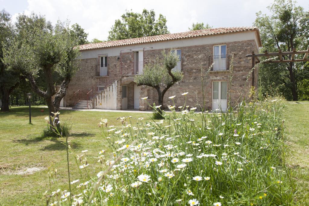 Agriturismo Creta Rossa 托雷迪鲁杰罗 外观 照片