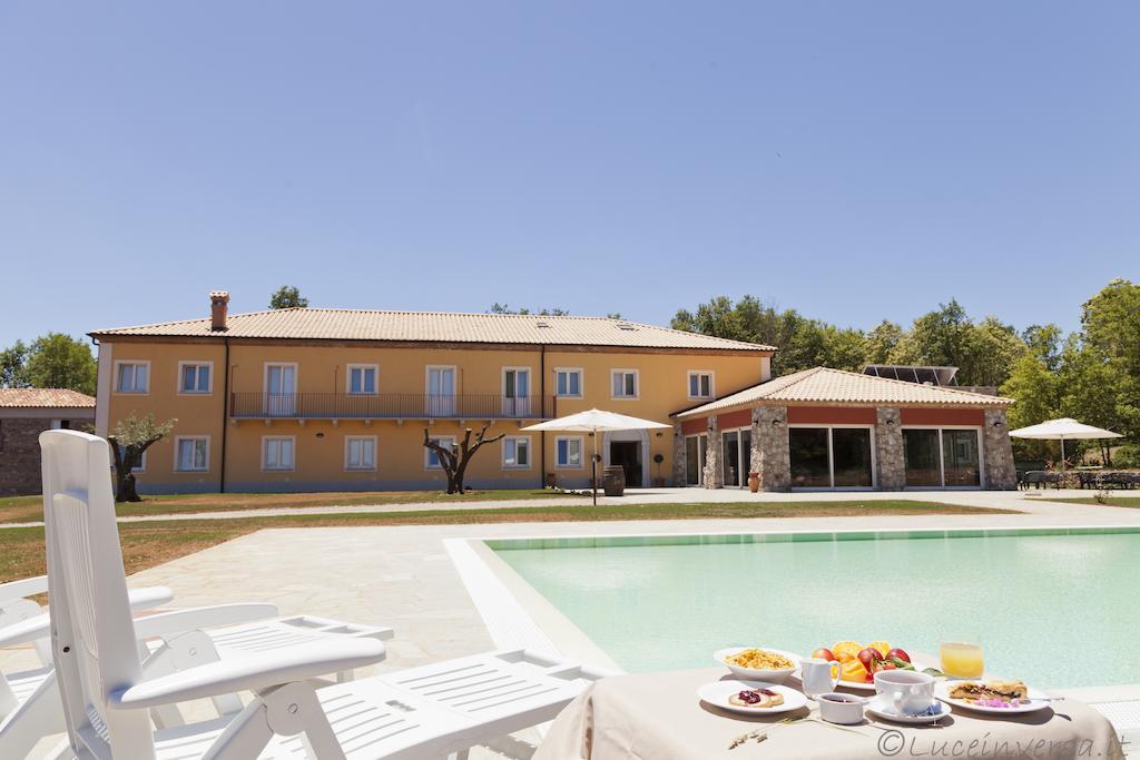 Agriturismo Creta Rossa 托雷迪鲁杰罗 外观 照片