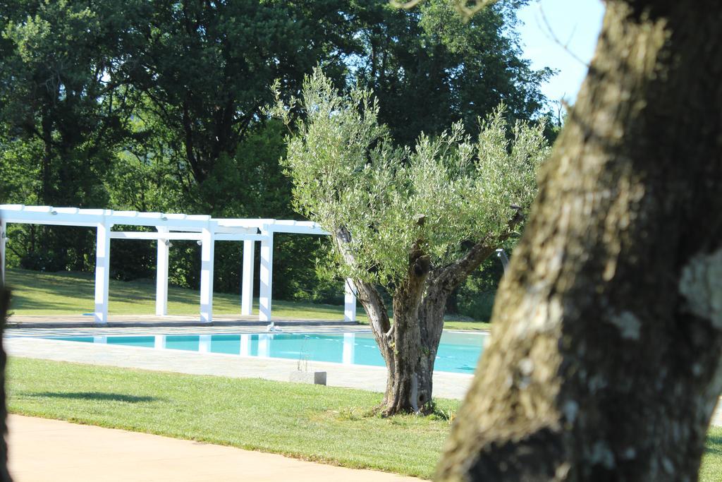 Agriturismo Creta Rossa 托雷迪鲁杰罗 外观 照片